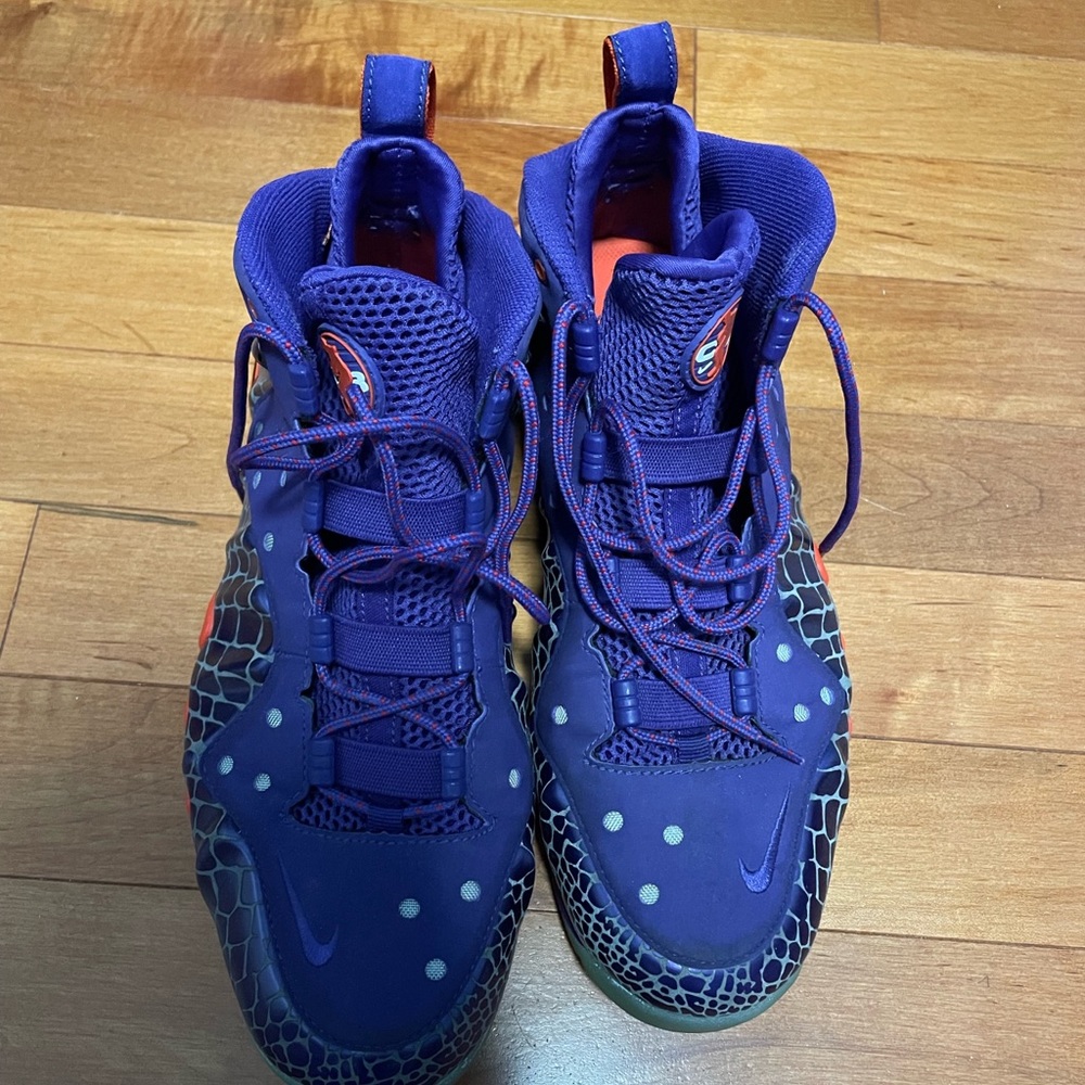 Nike Barkley Posite Suns